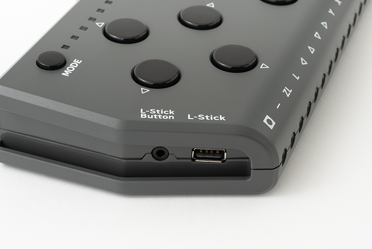 Hori store switch controller