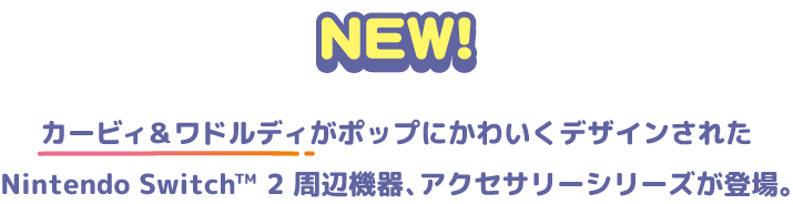 説明