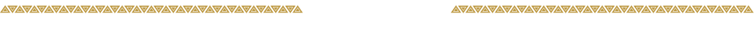 対応機種